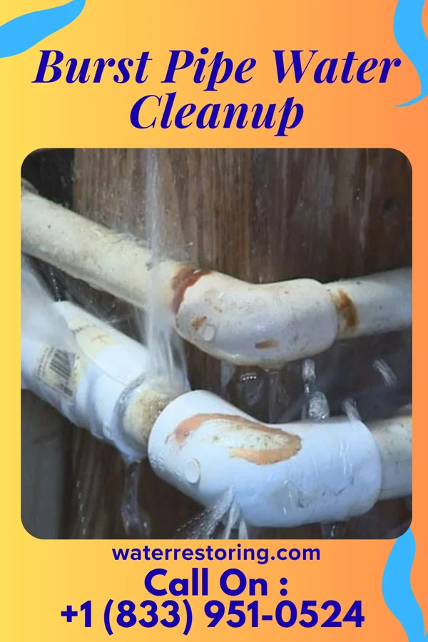 Burst Pipe Water Cleanup in Solvay, NY