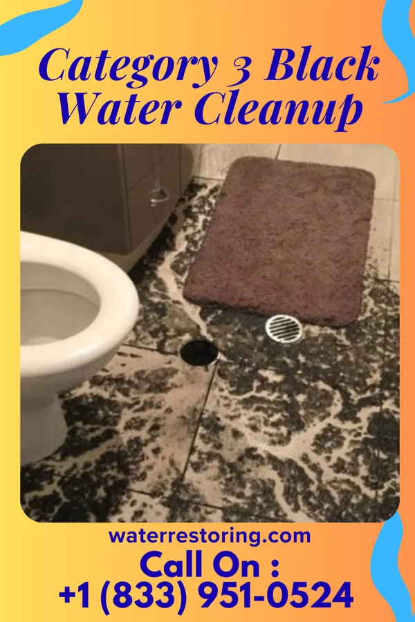 Category 3 Black Water Cleanup in Solvay, NY