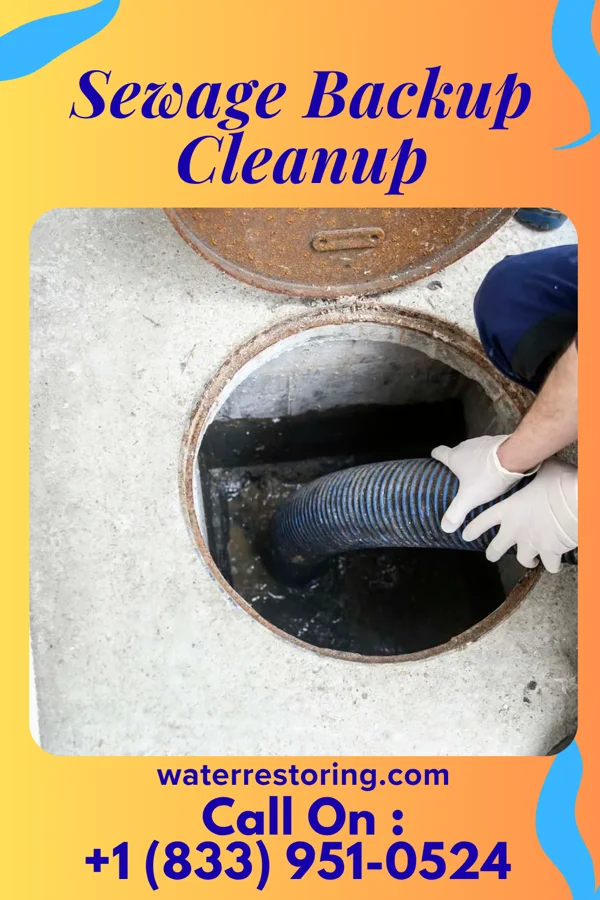 Sewage Backup Cleanup in Solvay, NY