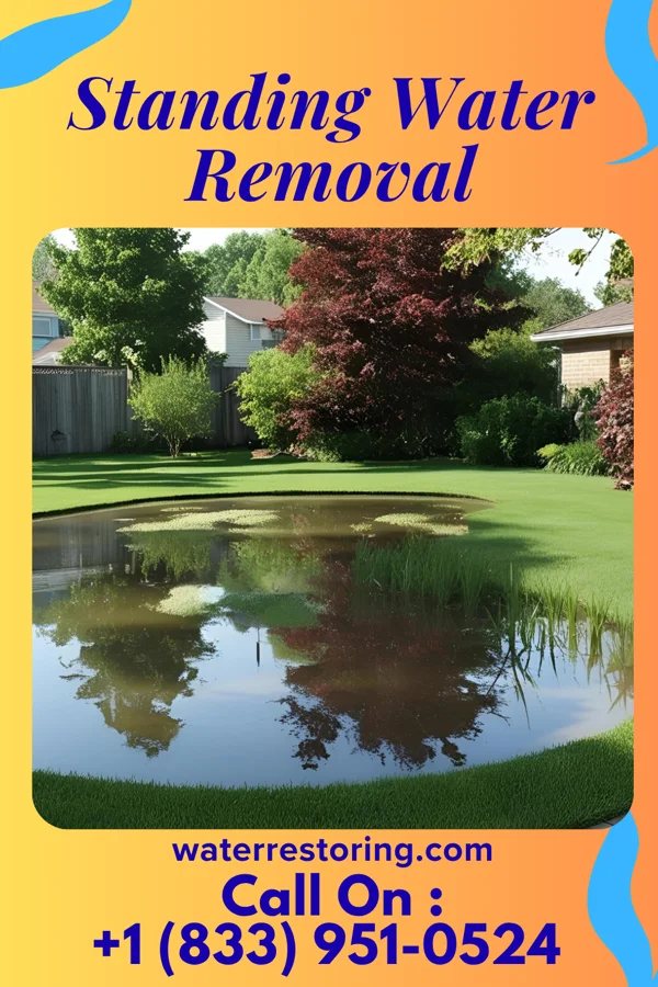 Standing Water Removal in Solvay, NY